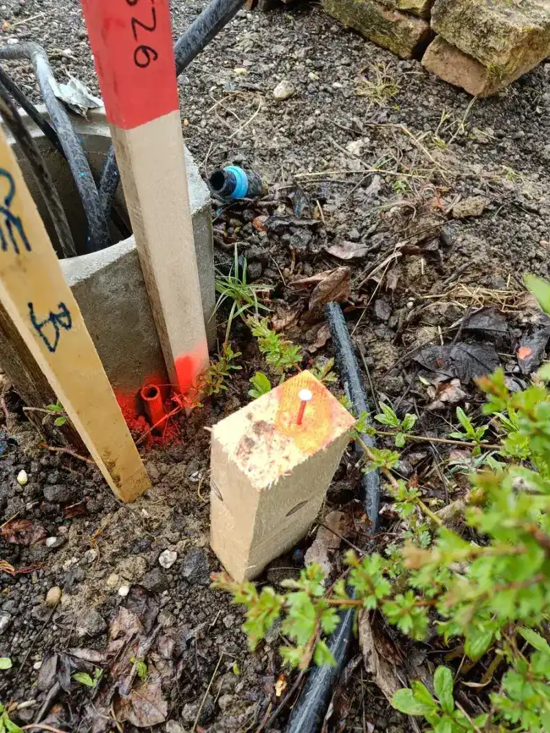 Grenzstein mit Holzpflock-Markierung